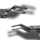 Forceps para raiz